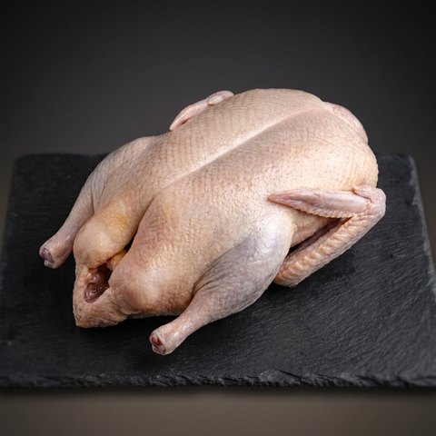 Pato — O Talho do Vasco